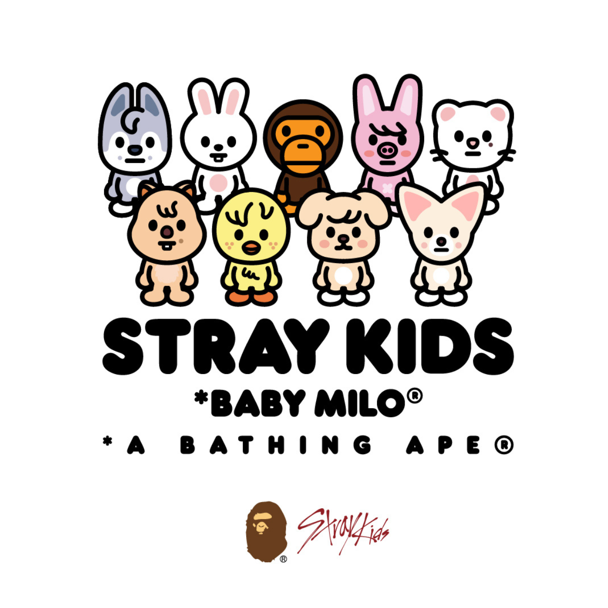 BAPE X STRAY KIDS