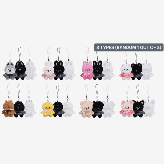 [PRE-ORDER] SKZOO Secret Plush Micro Ver. - Stray Kids World Tour 'RUN IT' MD
