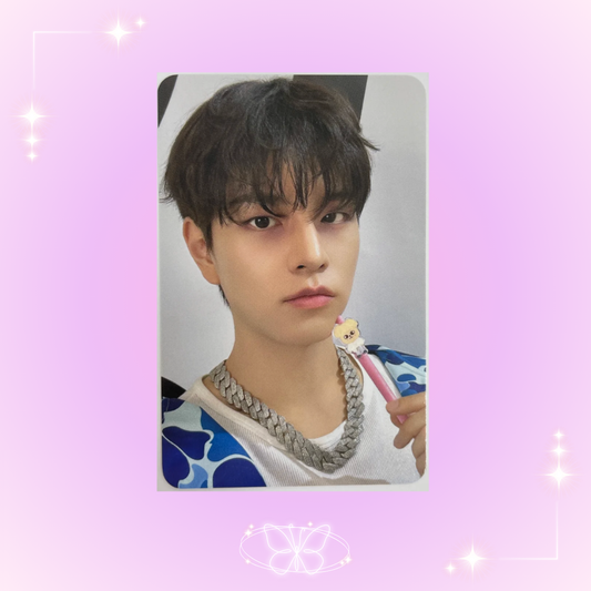 Stray Kids dominATE celebrATE Seungmin MD Photocard