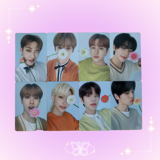 Stray Kids Nacific Round 10 Photocards