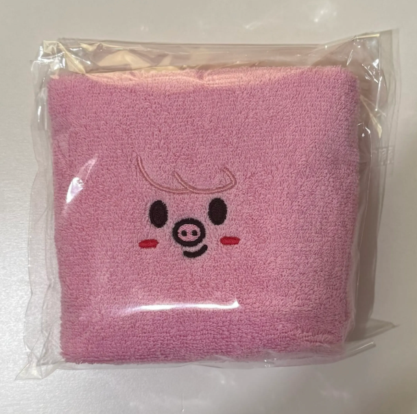 Stray Kids 6th Fanmeeting 'STAY in Our Little House' STAYZONE/Attendance Hand Towel