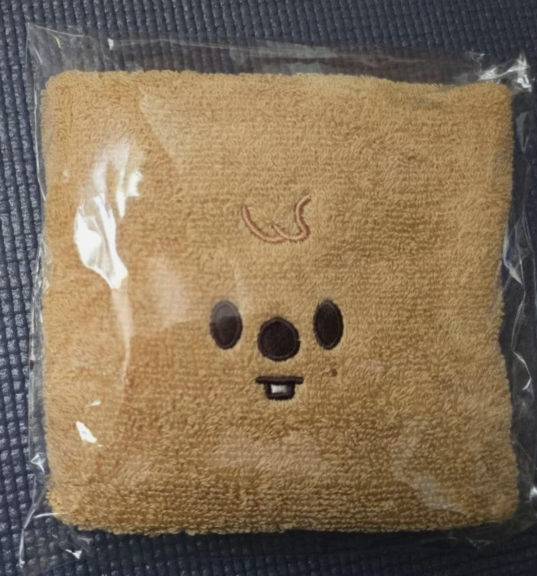 Stray Kids 6th Fanmeeting 'STAY in Our Little House' STAYZONE/Attendance Hand Towel