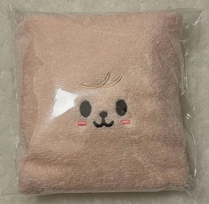 Stray Kids 6th Fanmeeting 'STAY in Our Little House' STAYZONE/Attendance Hand Towel